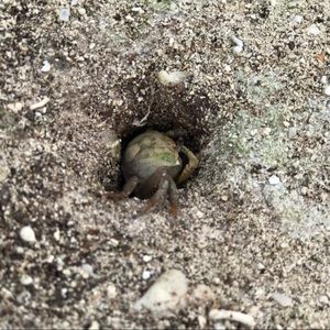 Meet your Posher, Katheryn